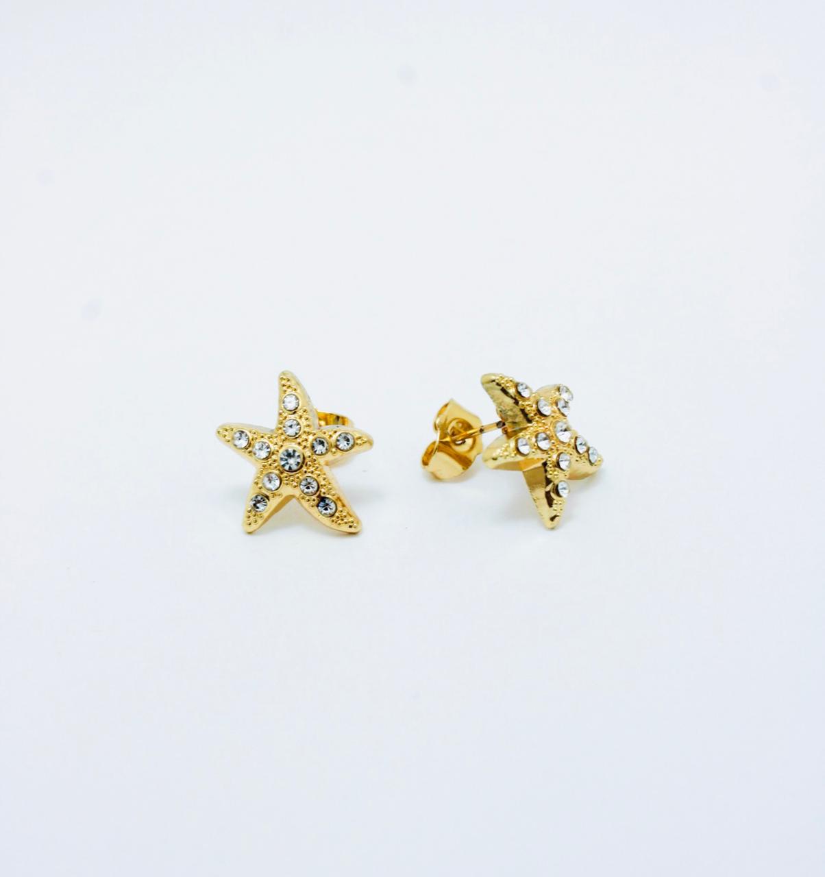 Areta Estrella Brillo