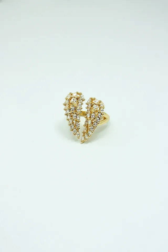 Anillo Ángel