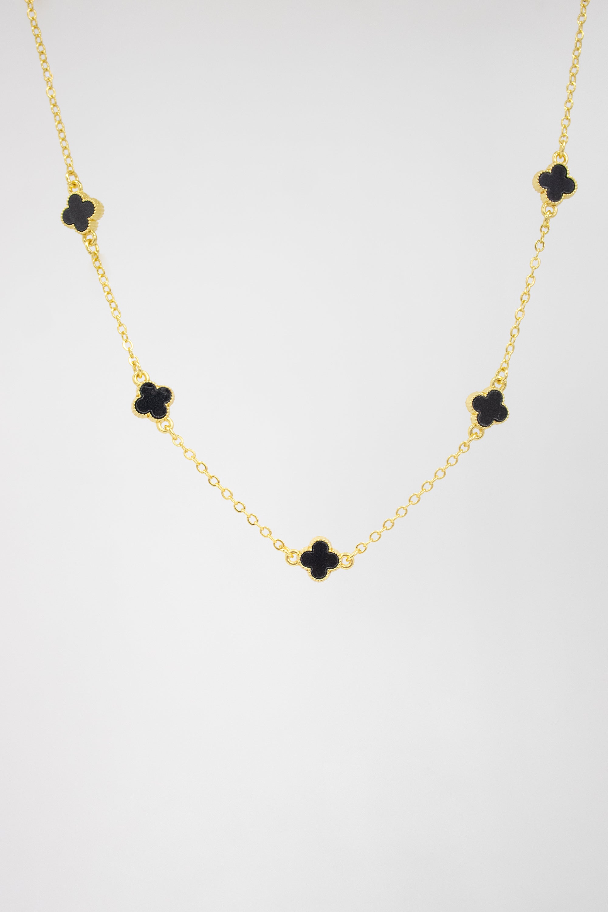 Collar Lucky Plus