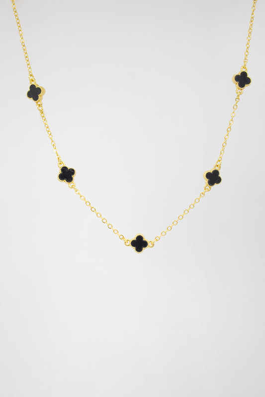 Collar Lucky Plus