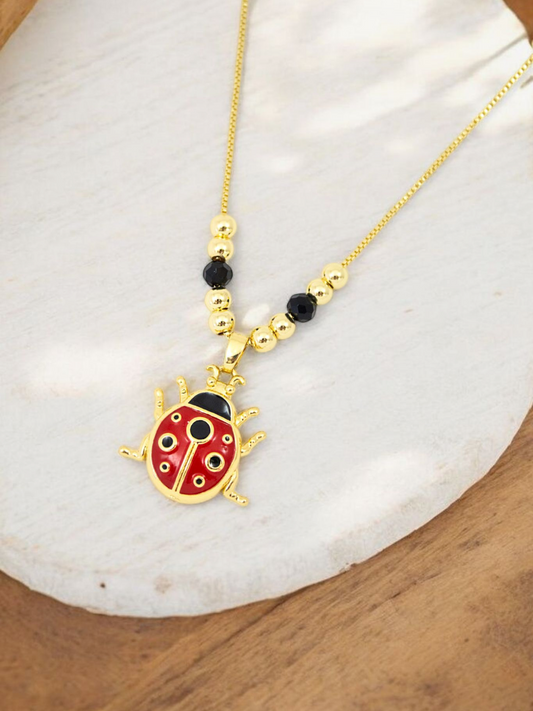 Collar Cocci