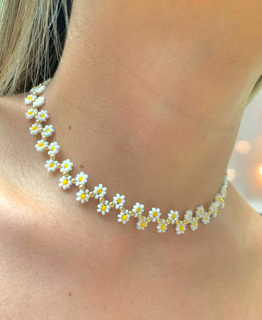 Collar Delicate